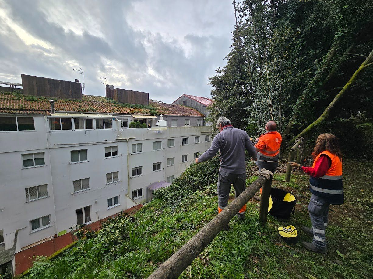 La tala de árboles en el Parque Valdés Bermejo para garantizar la seguridad ciudadana.