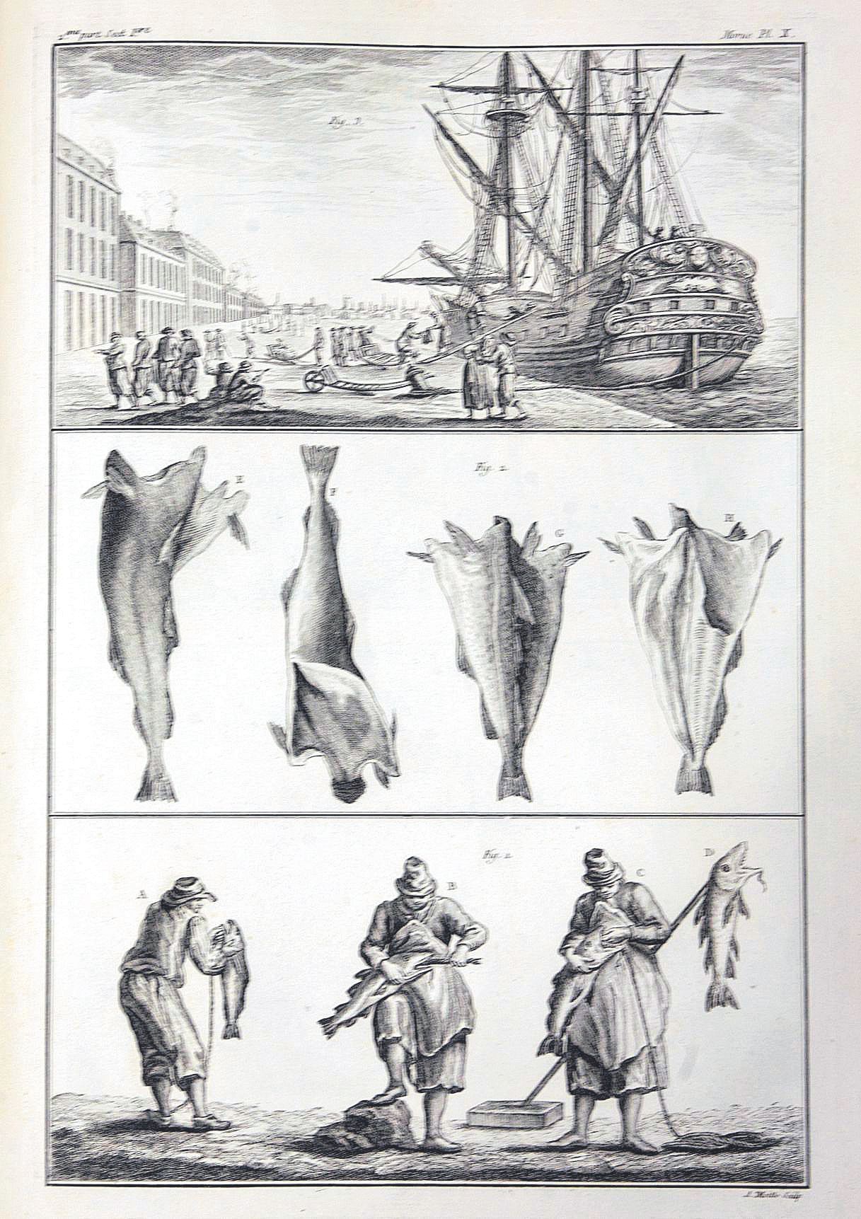 Pesquería del bacalao (grabado) en &#039;Descriptions des arts e metiers&#039; (1754-1779).