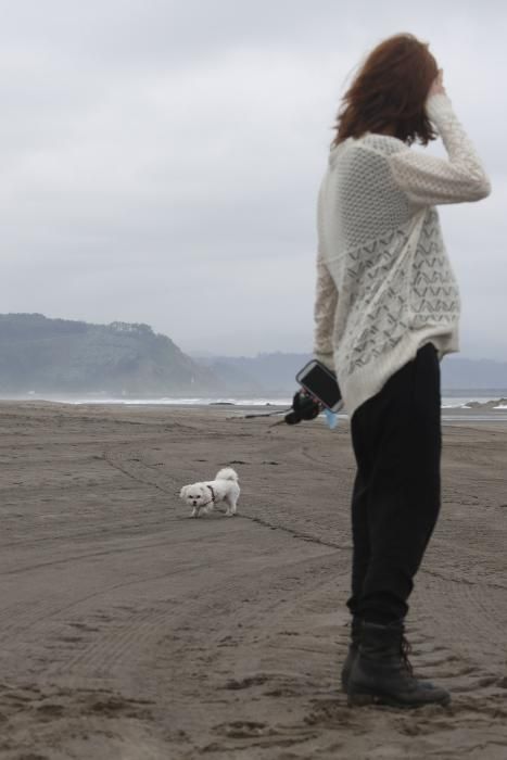 Los perros pueden acceder al playón de Bayas