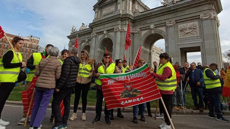 Agricultores y ganaderos de Zamora llevan sus protestas a Madrid