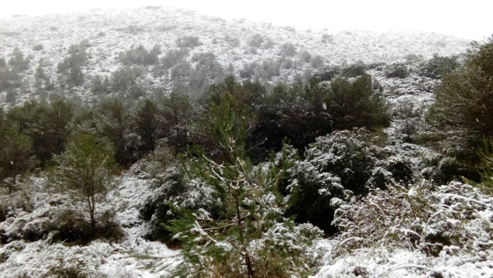 Fotos de la Llacuna, en Villalonga, completamente cubierta de nieve.