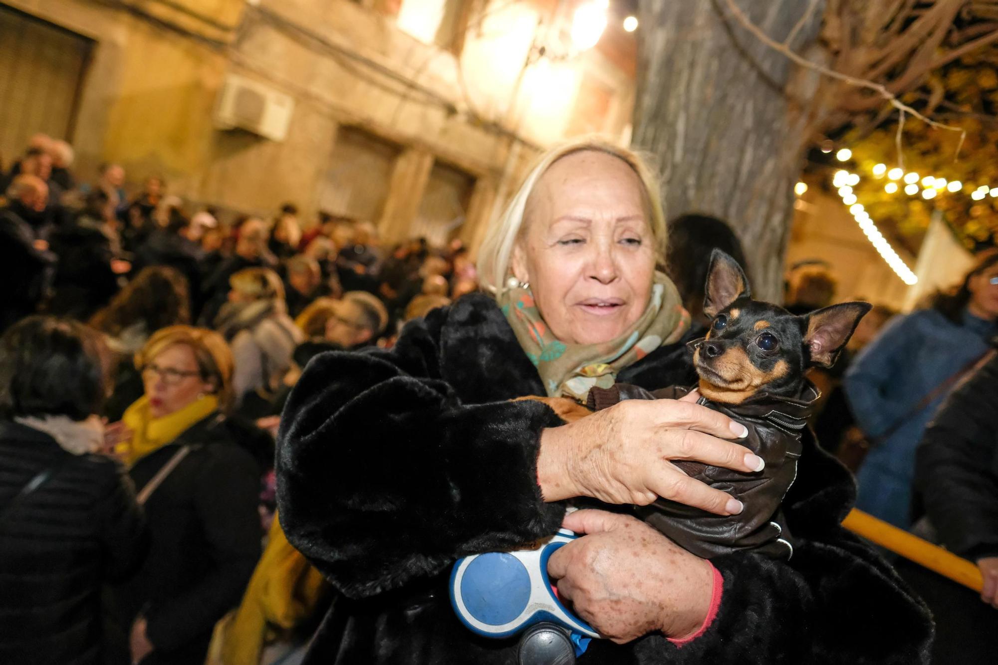 Así fue la última media fiesta de Elda el día de San Antón de 2020 dos meses antes de irrumpir la pandemia de Covid-19