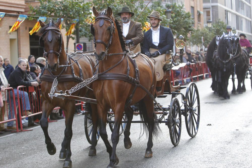 Sant Antoni en Valencia 2017