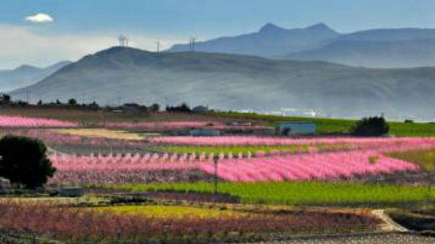 2 días para conocer el Valle de Ricote y Cieza