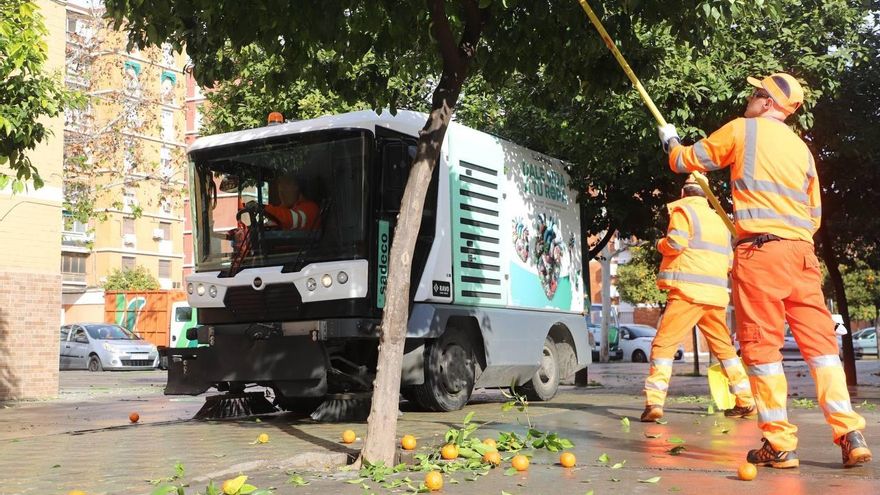 Comienza la campaña de recogida de naranja