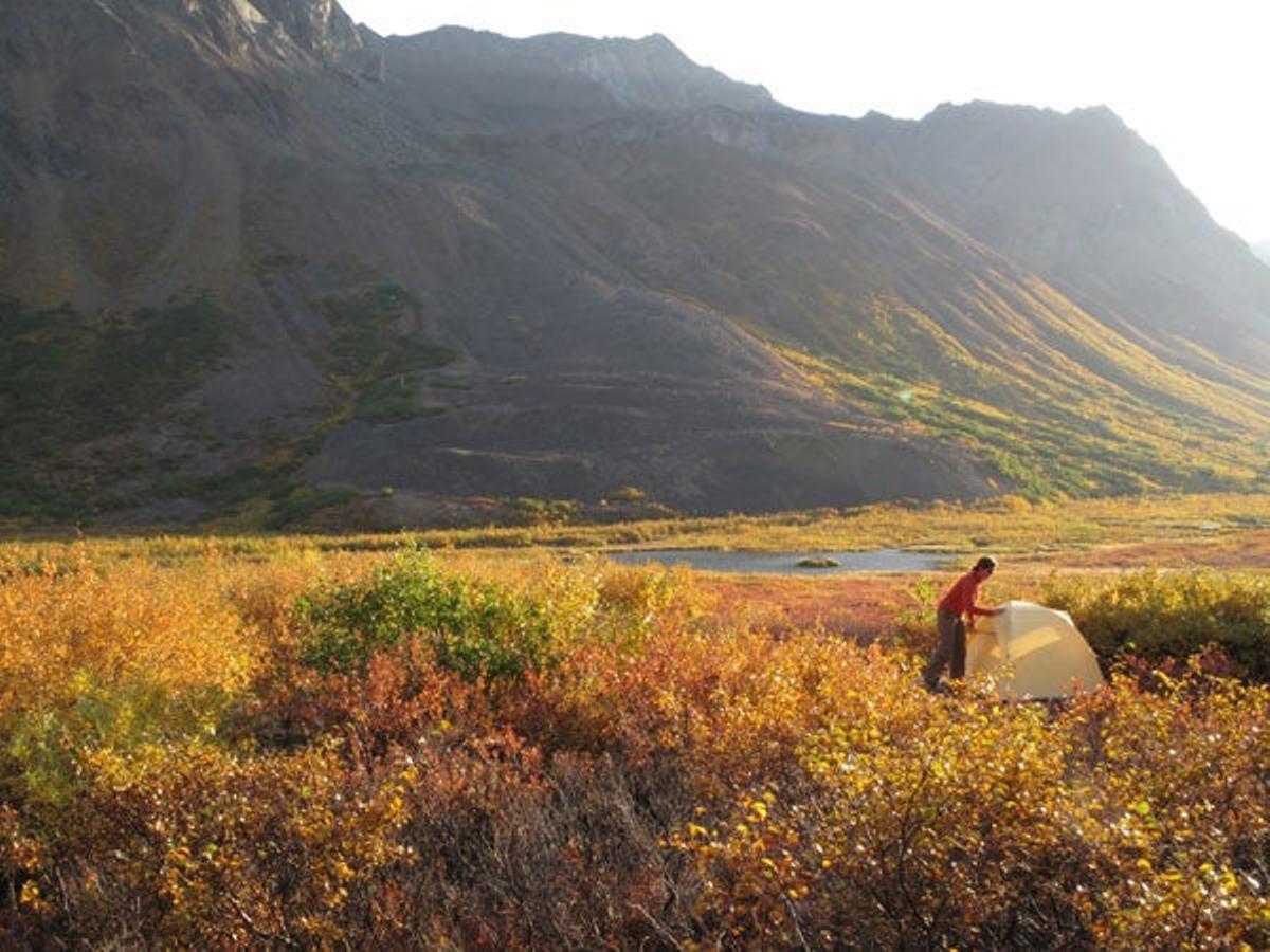 Campista en el Parque Nacional y Reserva Denali. Campista en el Parque Nacional y Reserva Denali.