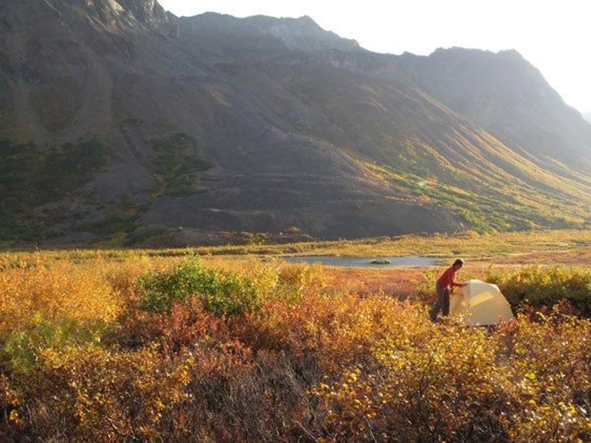 Campista en el Parque Nacional y Reserva Denali.