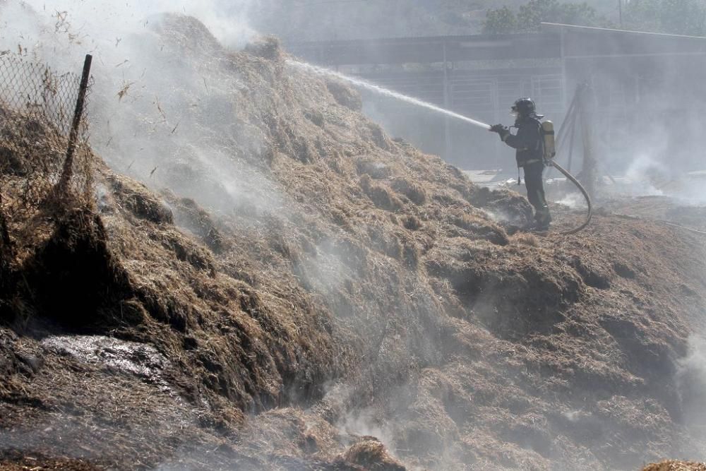 Bomberos intervienen en un incendio de vivienda en Cartagena