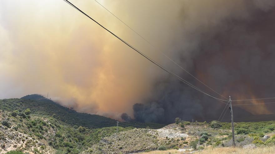 La sierra de Alhaurín de la Torre arranca su proceso de recuperación para la futura regeneración