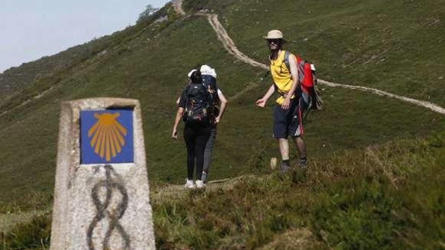 Ruta de los Hospitales, entre Allande y Grandas, por el Palo.