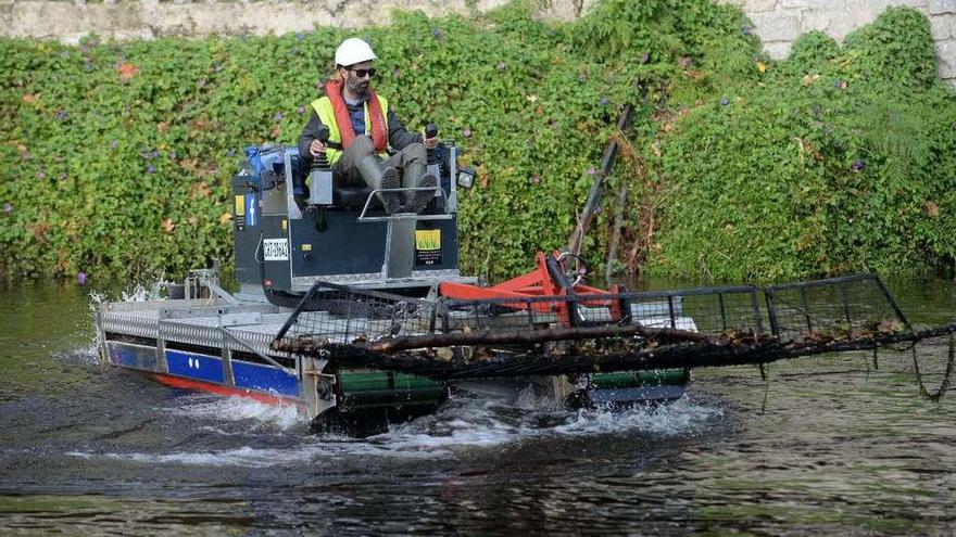 Limpieza de algas en el río Umia, a su paso por Caldas. // Noé Parga