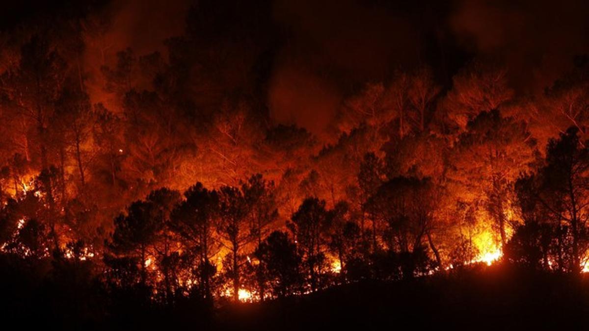 Las llamas, descontroladas en un bosque cercano a Boadella, la pasada noche.