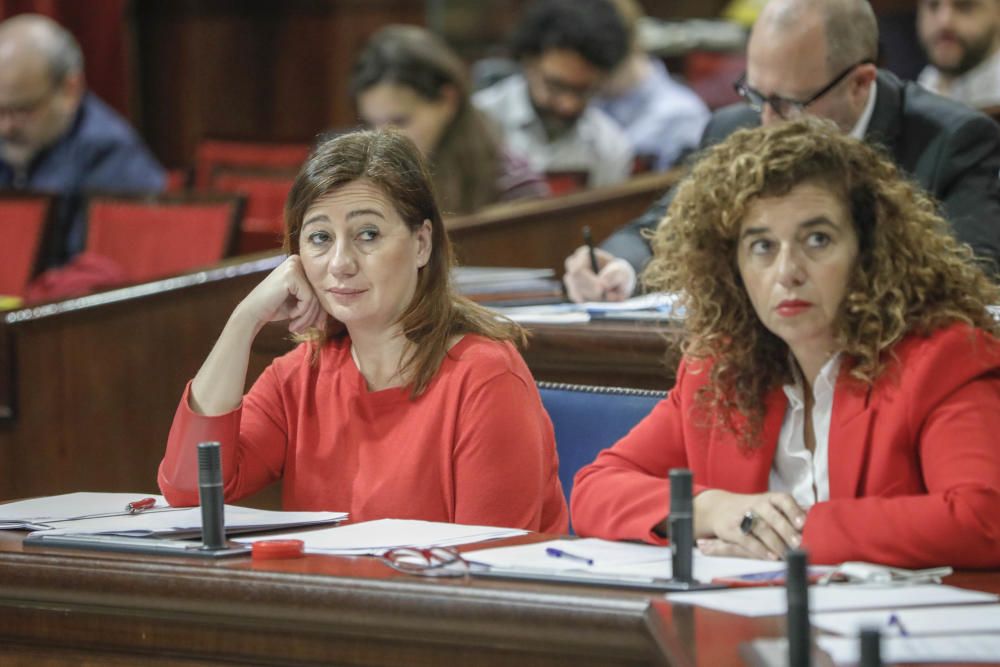 Pleno del Parlament 5 de marzo de 2019