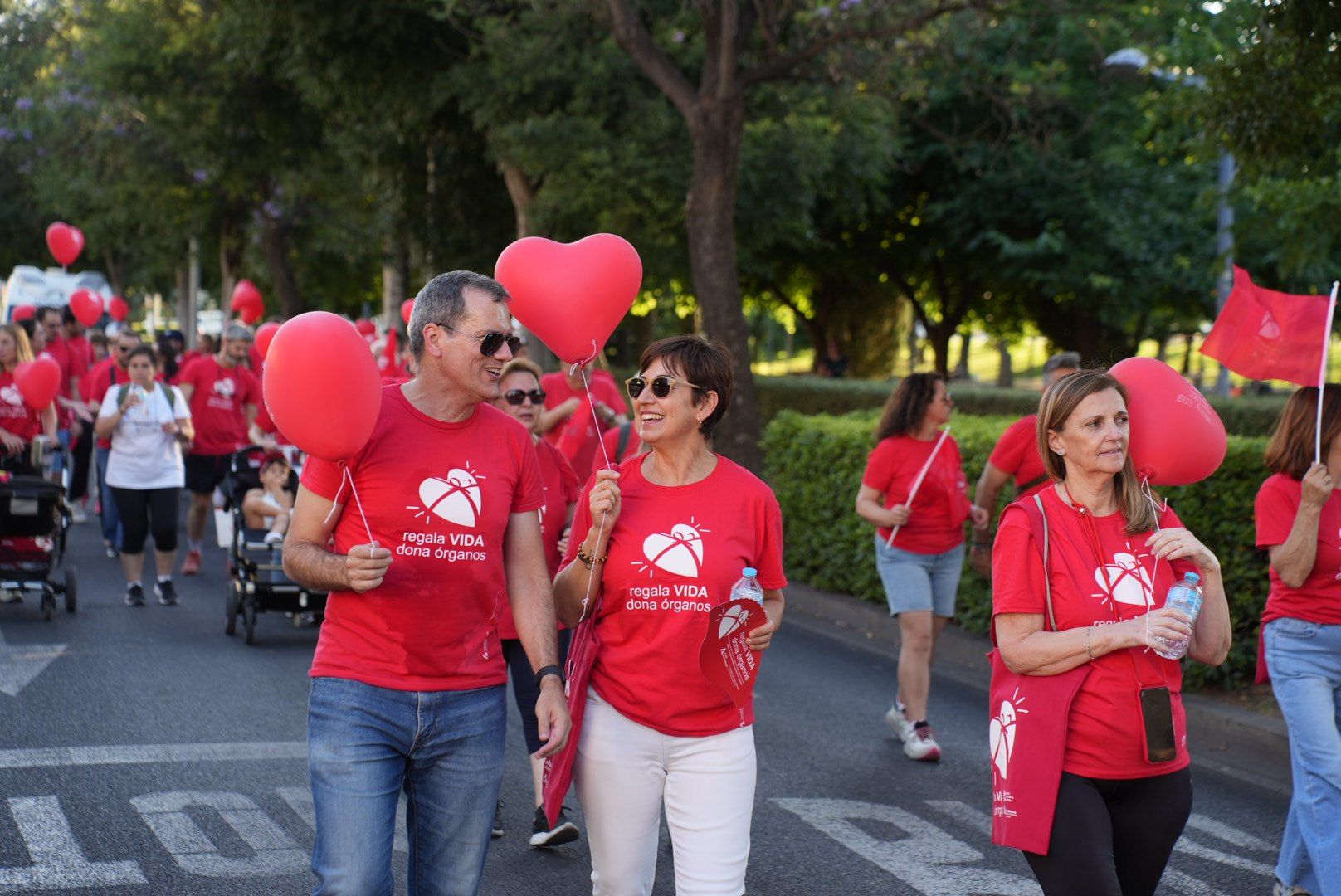 La marcha por la donación de órganos, en imágenes