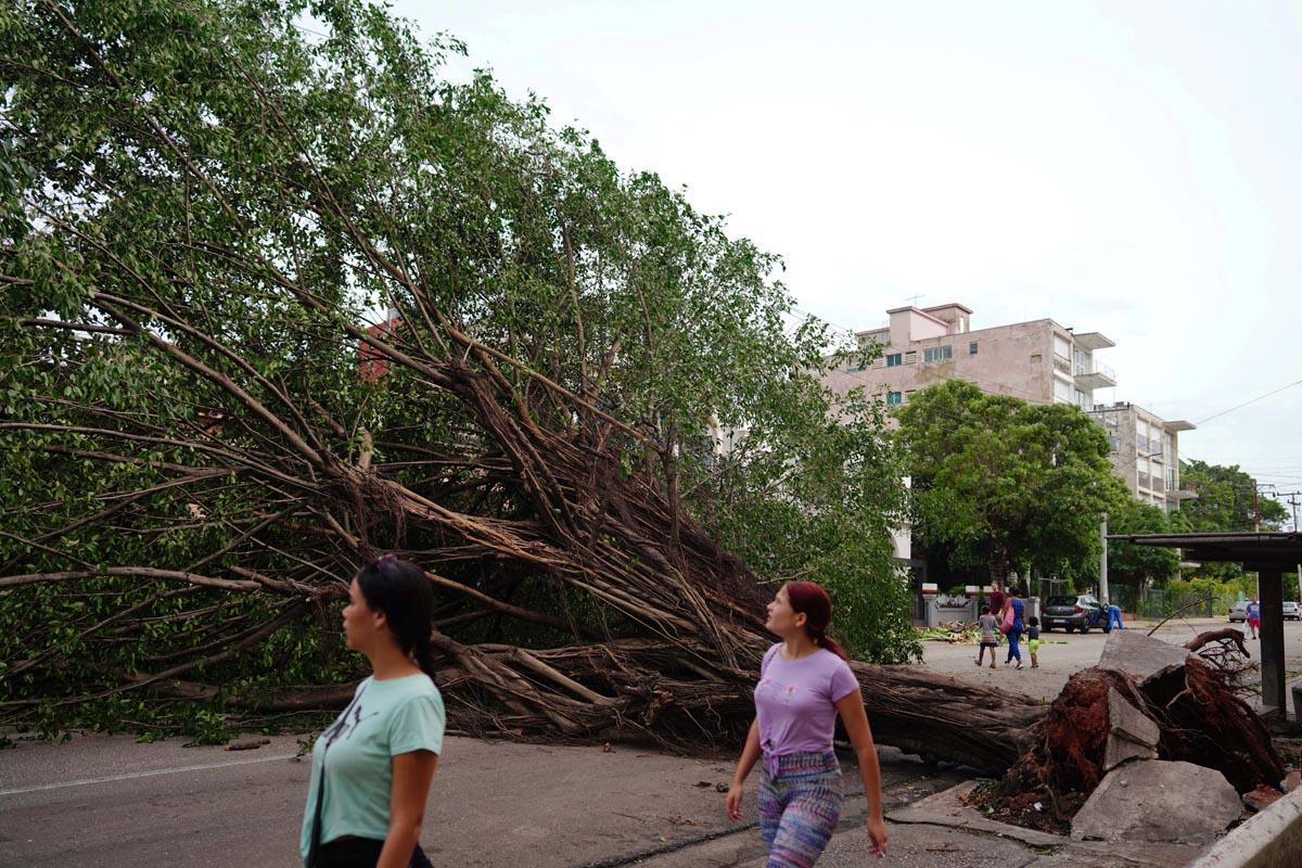 Gente pasando junto a un árbol caído tras el paso del huracán Ian en La Habana, Cuba.