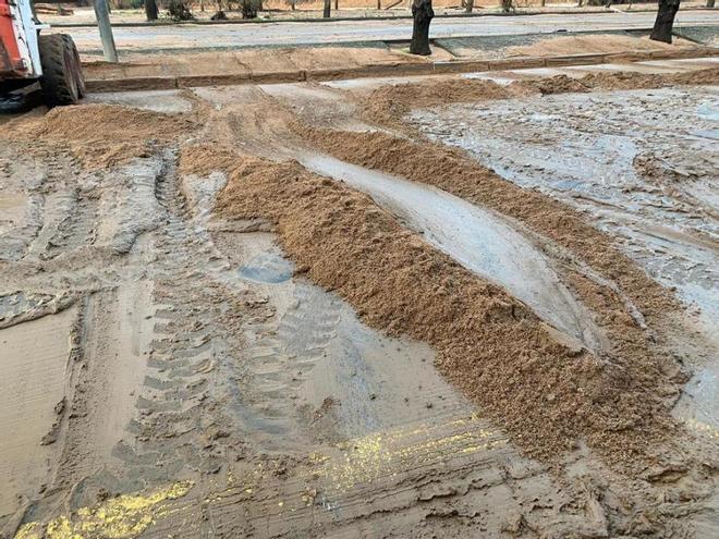 Girona intenta recuperar la normalitat després del temporal Gloria