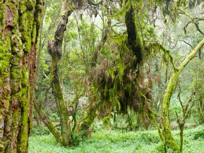 El Hierro, Islas Canarias