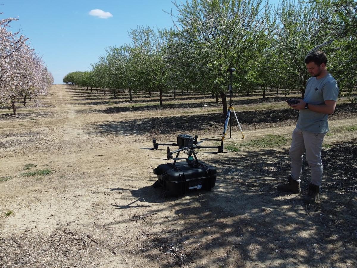 El IAS-CSIC mejora la eficiencia del riego en almendros con tecnología LiDAR aplicada en fincas comerciales.
