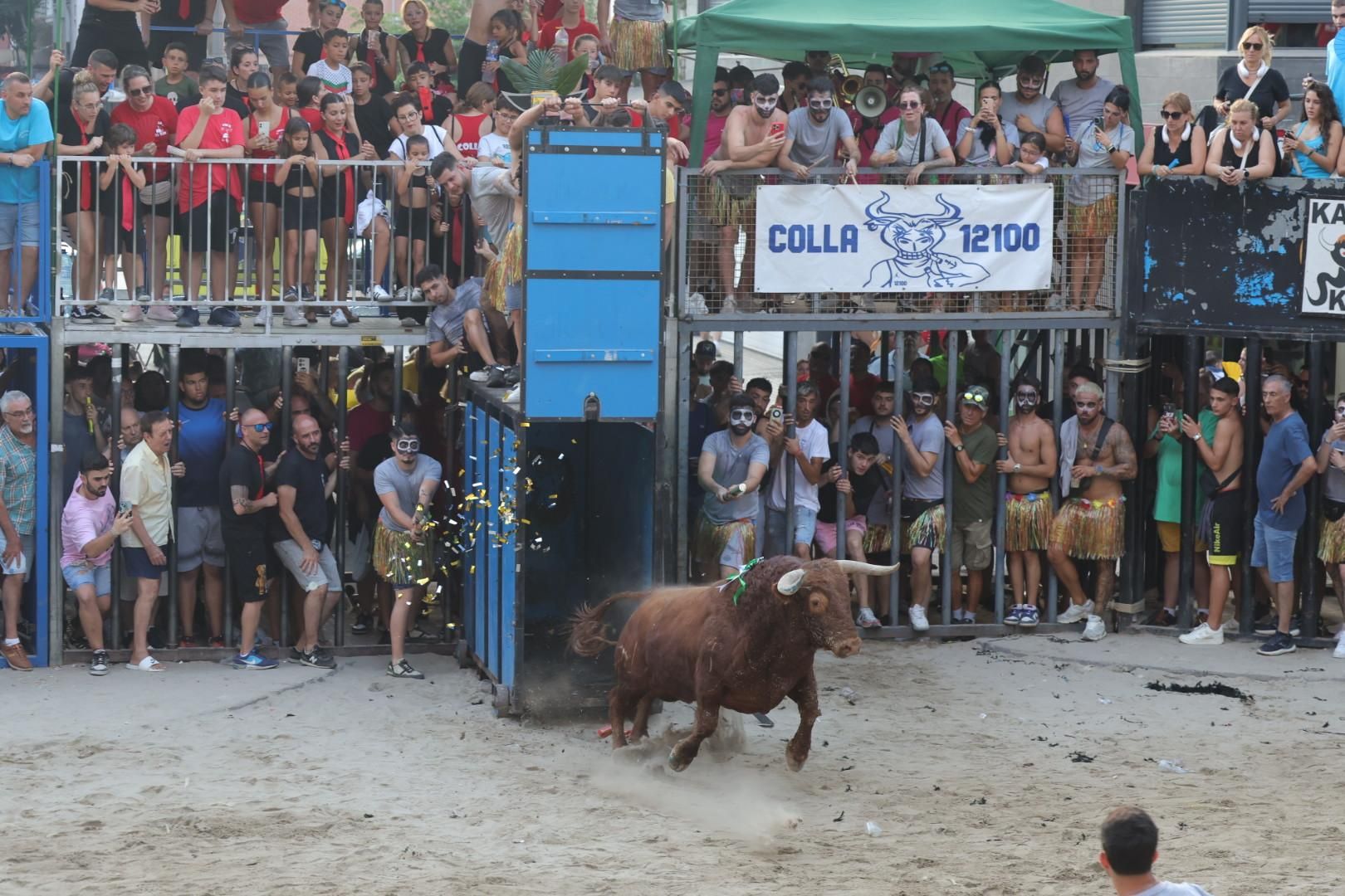 Galería | Intensa jornada taurina en Sant Pere 2025