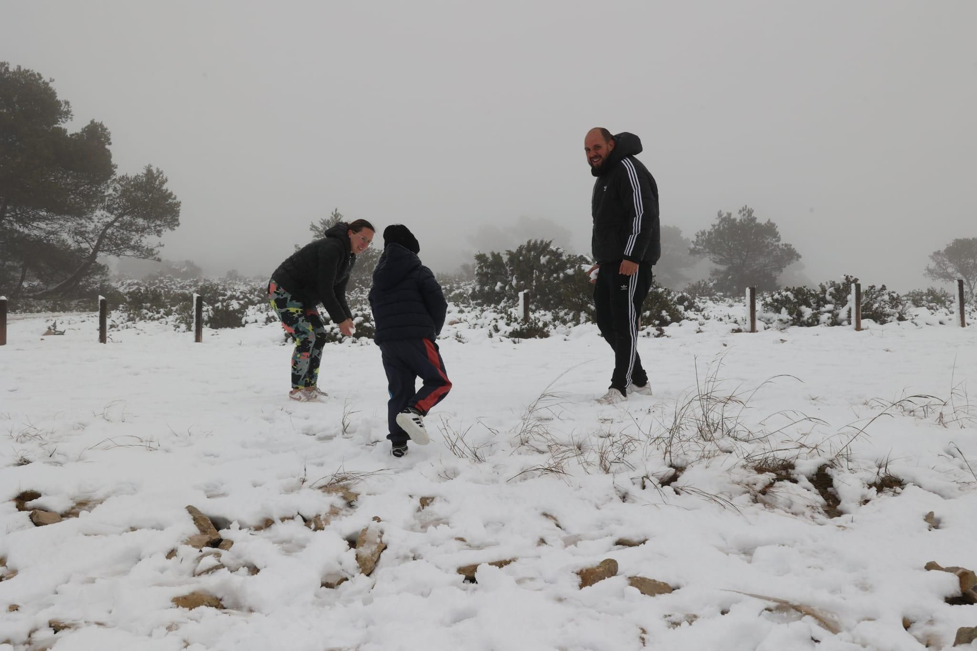 Nieve en Alicante: las estampas más esperadas en invierno