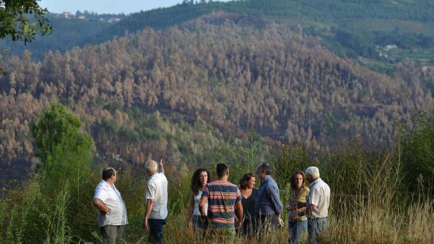 Directivos de la Mancomunidad de Montes observan los terrenos quemados de Bora. // G. Santos