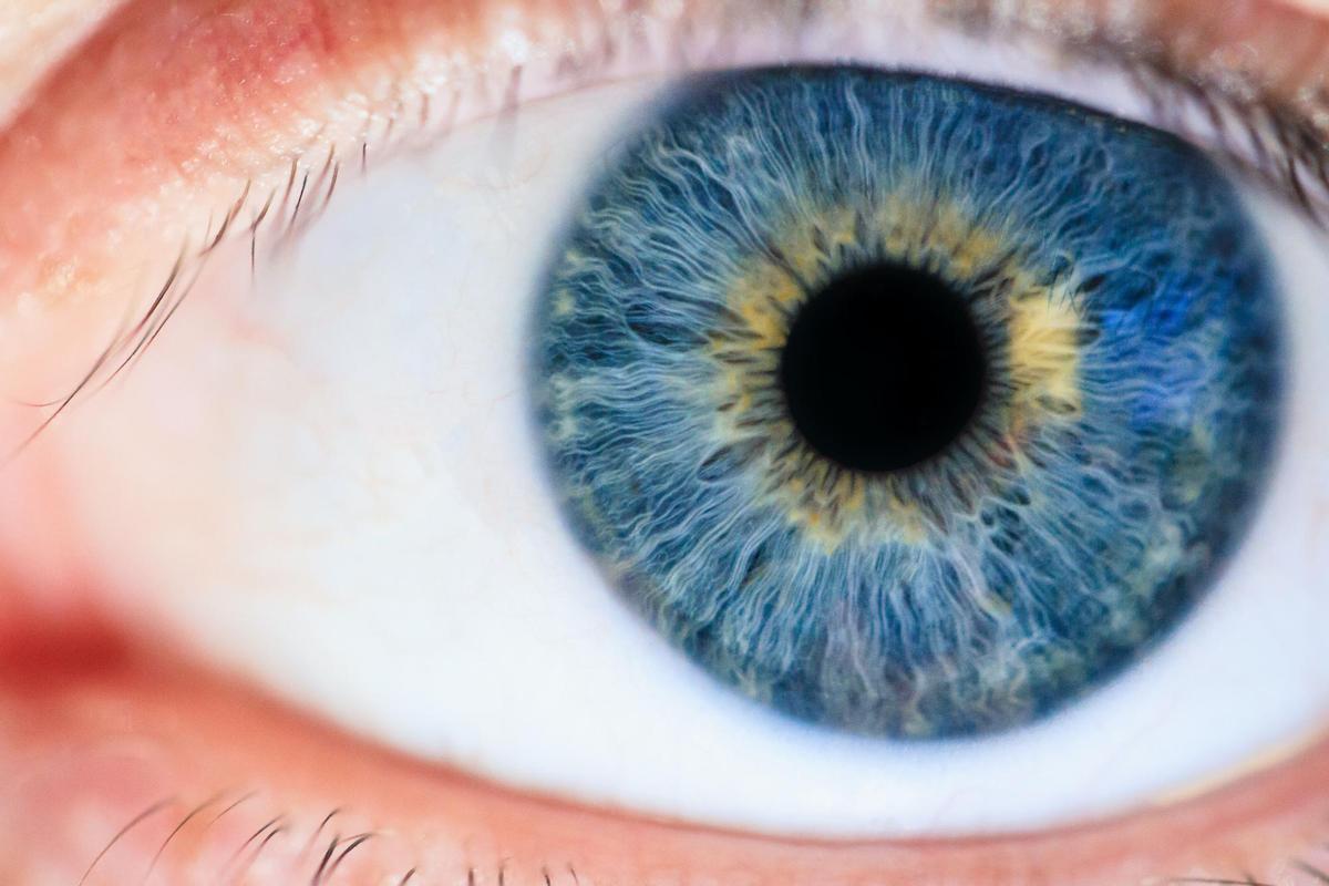 Esta es la enfermedad ocular que provocan las altas temperaturas