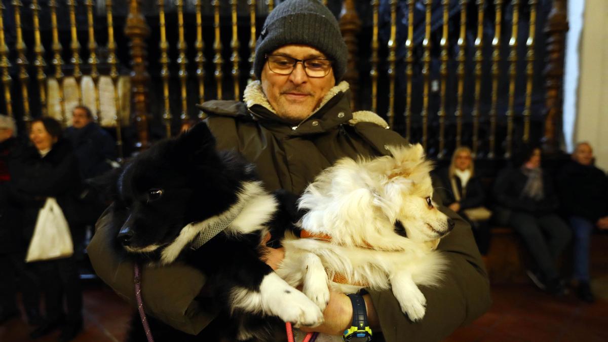 Los zaragozanos acuden a la parroquia de San Antón para la tradicional bendición de sus animales