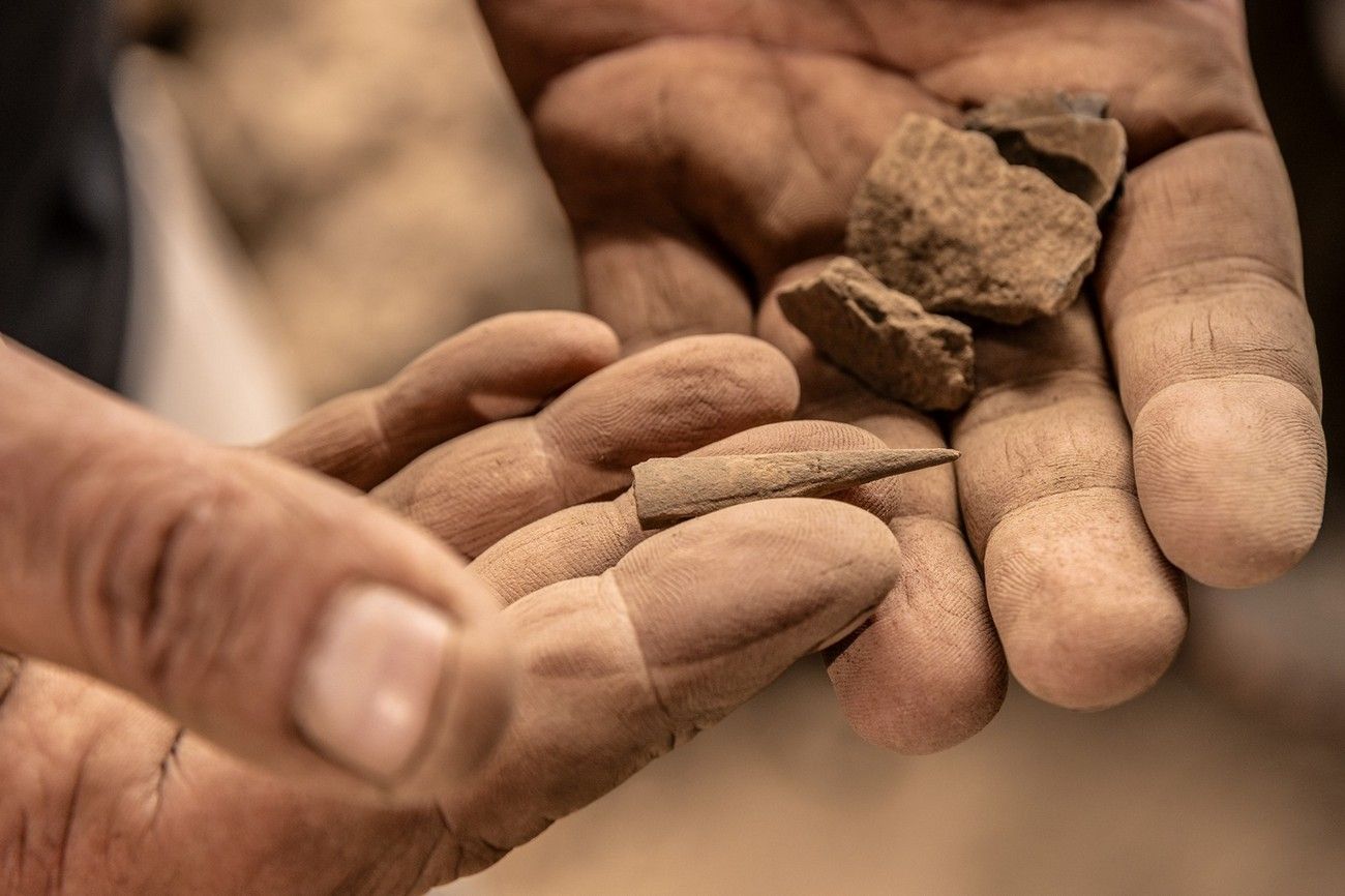 Las huellas 'palmeras' de Indiana Jones