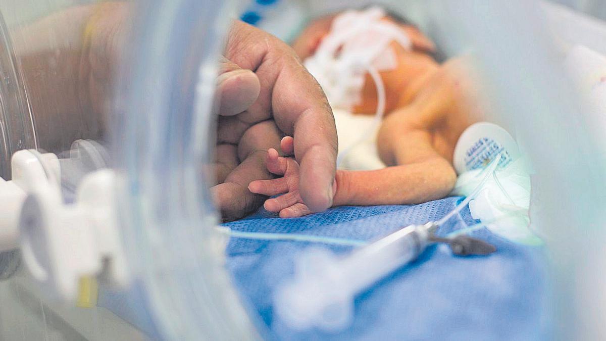 Un bebé recibe atención en una incubadora