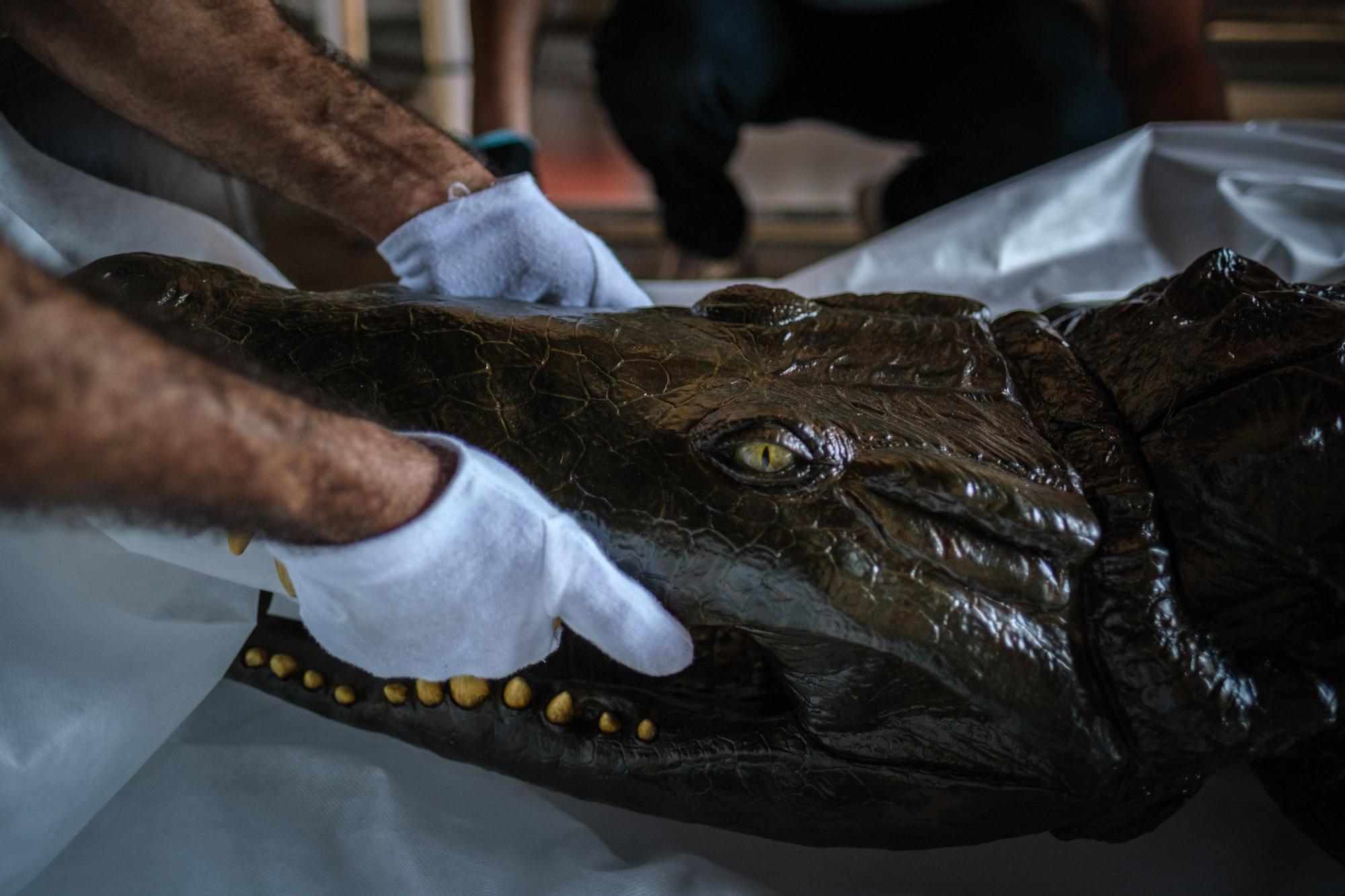 Traslado de la Virgen y el caimán de Las Angustias