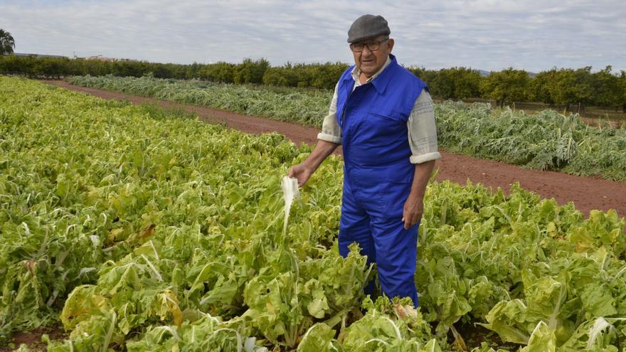 &quot;La piedra lo ha arrasado todo. No vamos a salvar nada&quot;