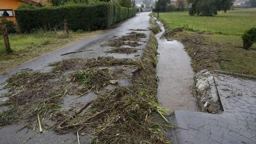 Llantero anegado el pasado invierno, cuando se desbordó el arroyo de La Venal.