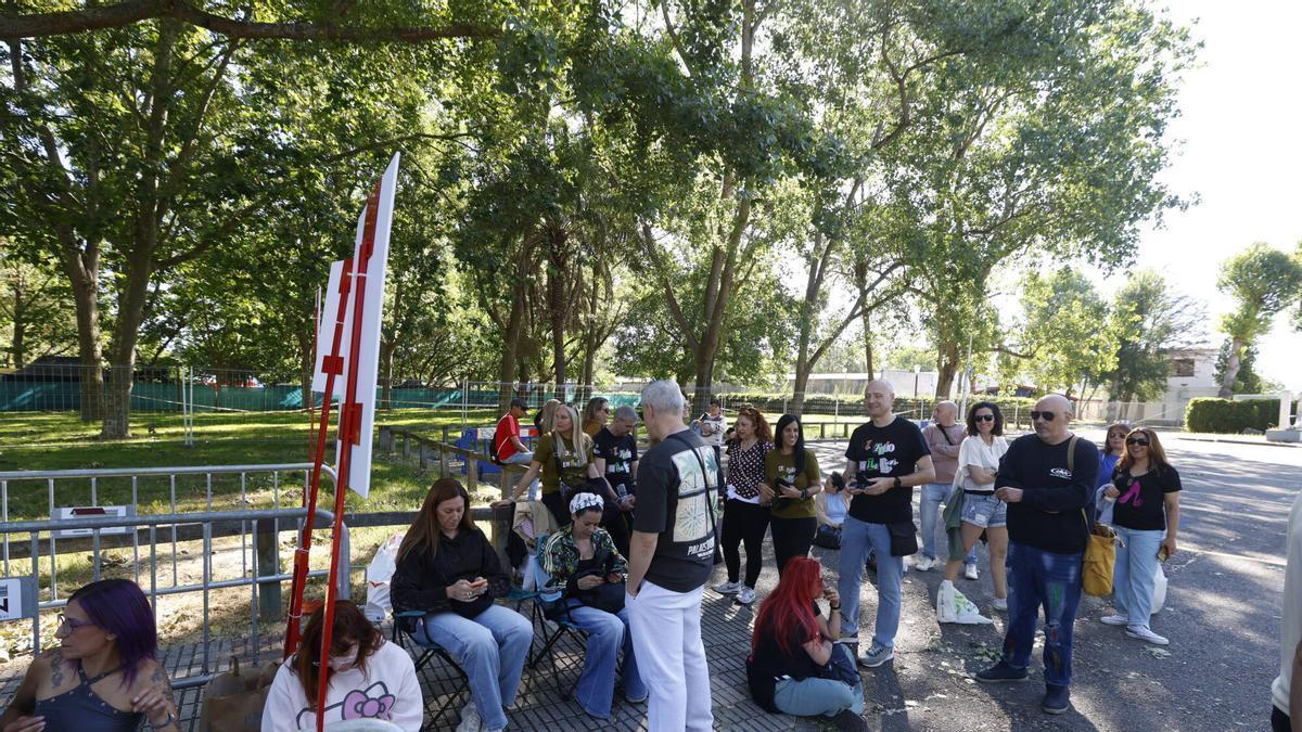 VÍDEO: Treinta y cinco años después, los mismos nervios: así esperan los fans de Alejandro Sanz su regreso a Gijón