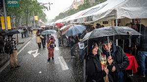 Una granizada ha irrumpido la celebración del Sant Jordi en el centro de Barcelona, que este año ha estrenado la ’superilla’ literaria en Passeig de Gràcia. 