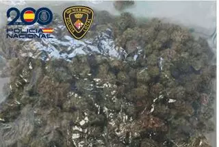 La Policia enxampa un conductor amb mig quilo de marihuana amagada sota el seient a Sant Feliu de Guíxols