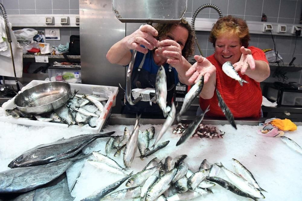 San Juan A Coruña 2017: Sardinas en las plazas