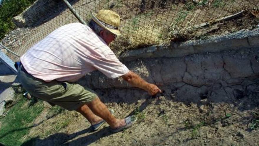 Agricultores valencianos vs Urracas. - Página 2 - ellinceiberico.com