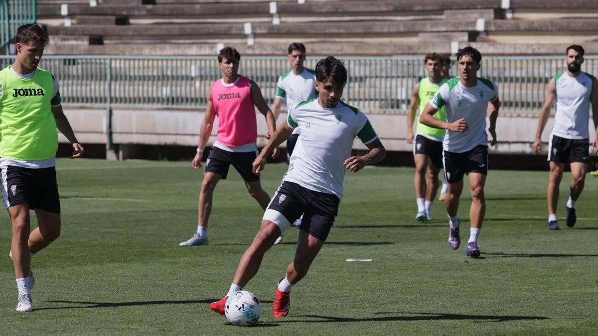 El Córdoba CF, contra la razón y las matemáticas: a por otro duelo clave ante el Granada en El Arcángel