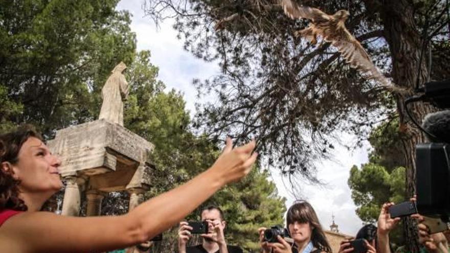 La secretaria autonómica suelta una de las pequeñas rapaces en la explanada de la ermita.