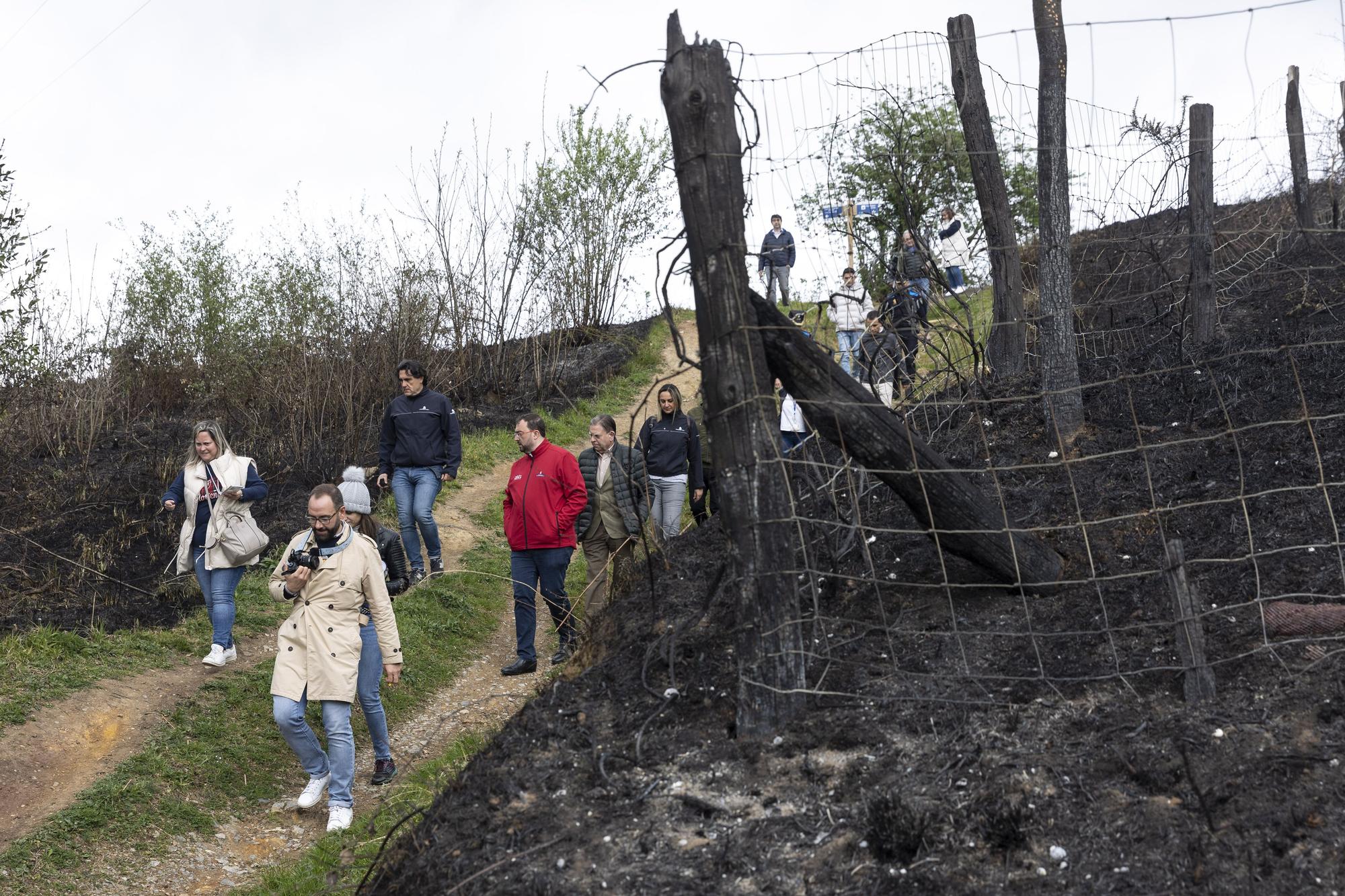 El aspecto del Naranco tras unos incendios históricos