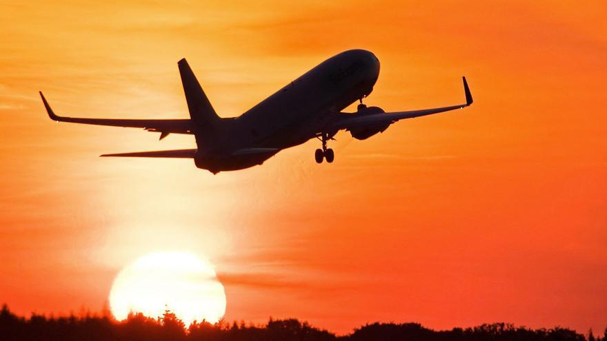 Terror de altos vuelos de India Martínez en un avión a Canarias