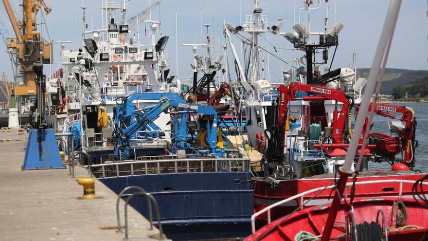 Barcos de pesca amarrados en el puerto de Avilés.