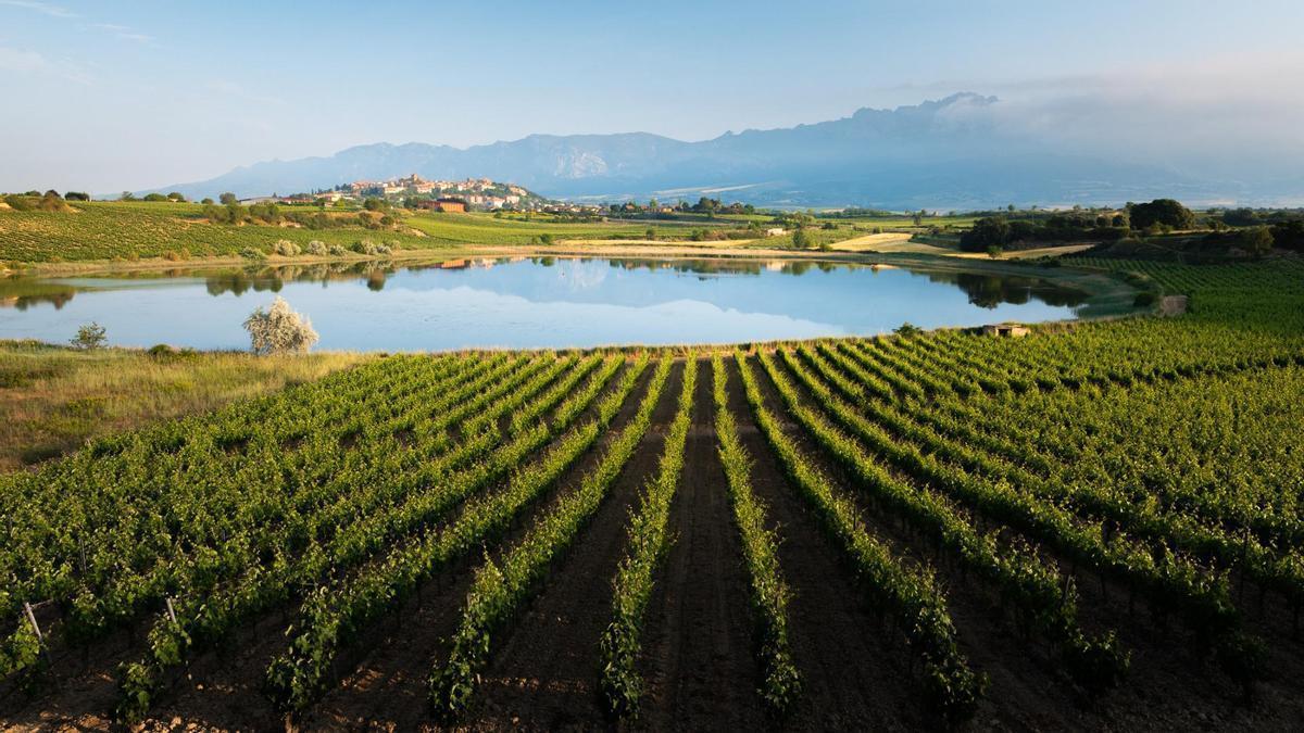 En este pueblo del País Vasco el vino es como una religión