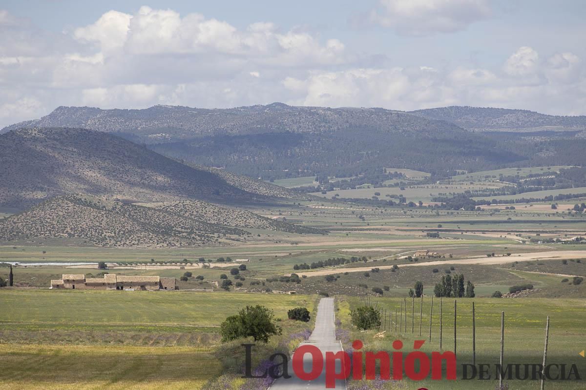 Romería de San Isidro en los Poyos de Celda de Caravaca
