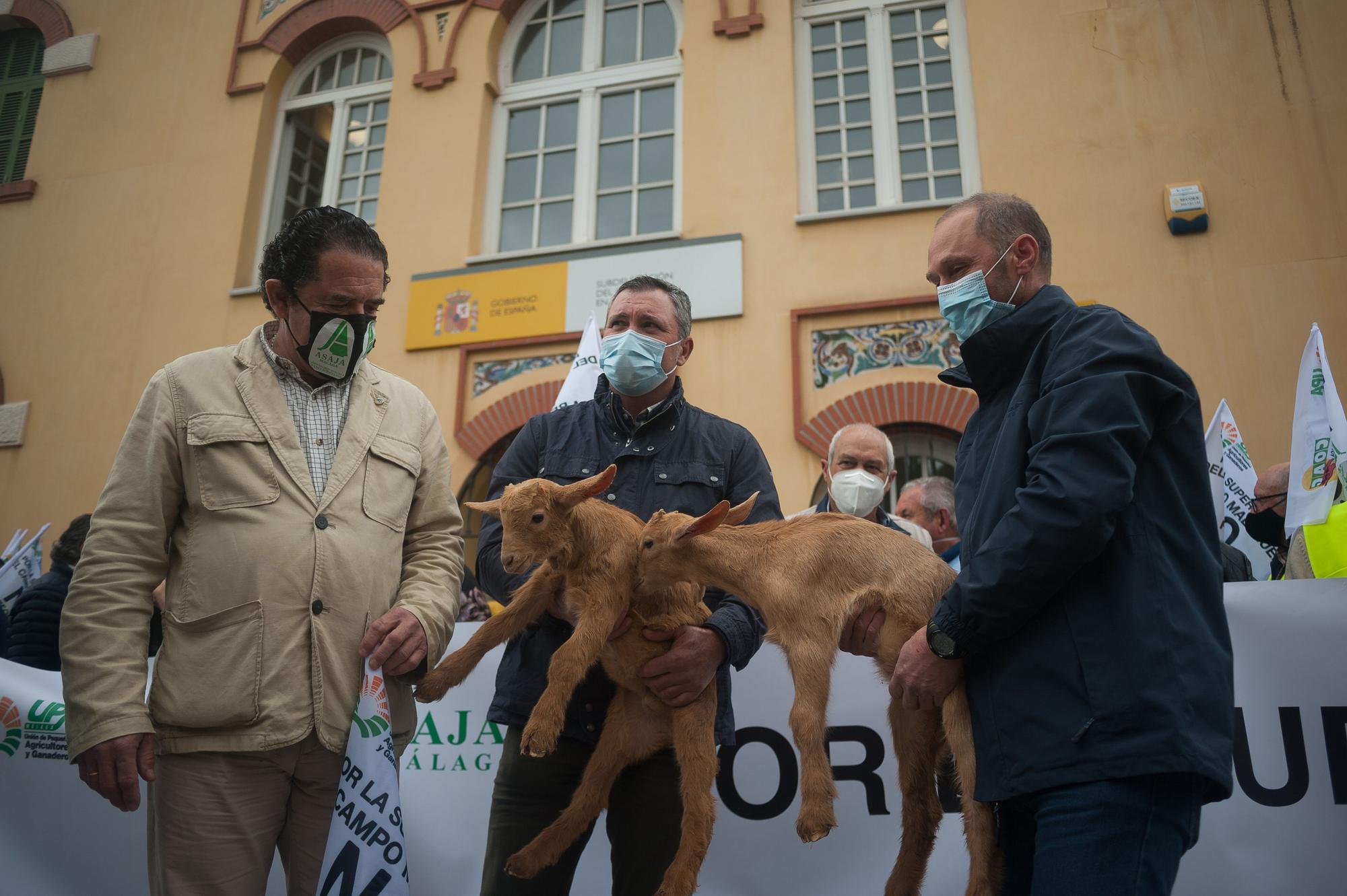 Los agricultores malagueños protestan contra la reforma del PAC