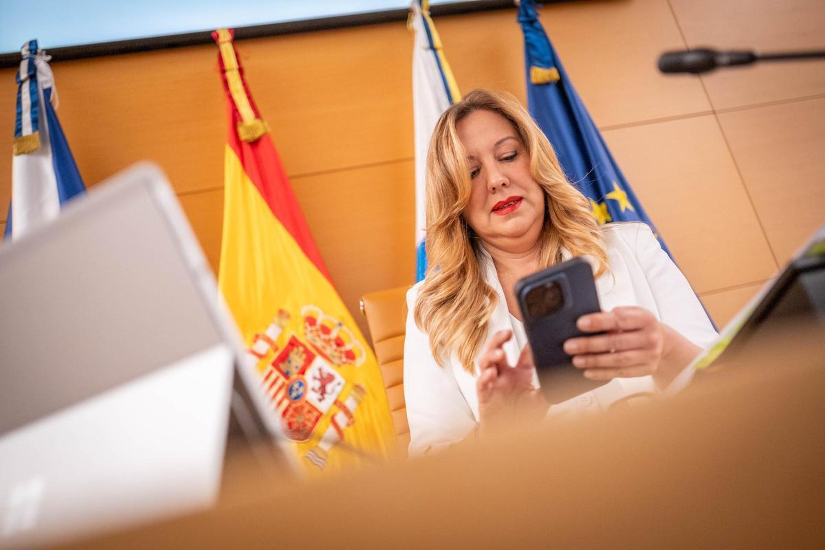 Debate sobre el estado de la isla de Tenerife