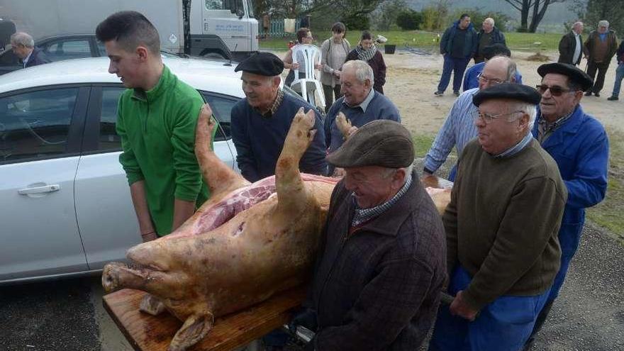 La pasada fiesta de la matanza. // Noé Parga