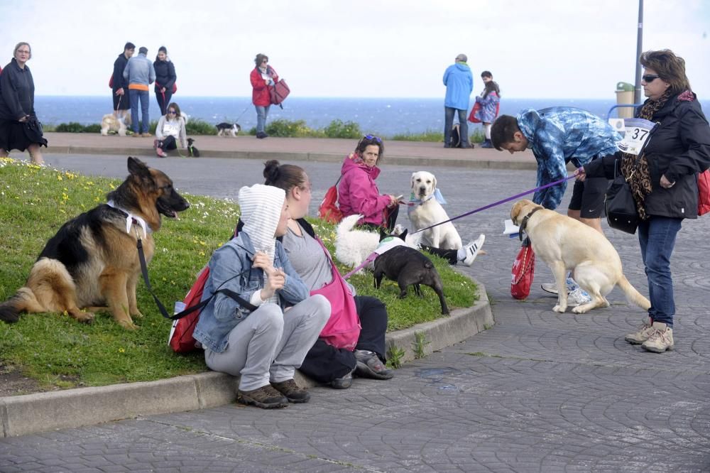 Correcán Solidario en la zona de la Torre