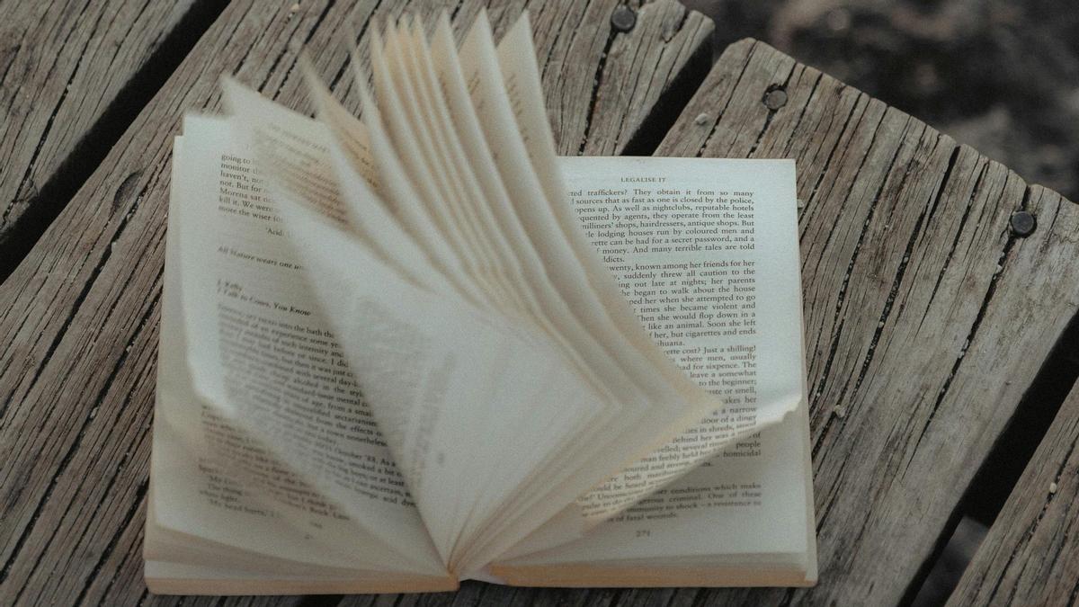 Leer no es un acto pasivo. Es una toma de posición.