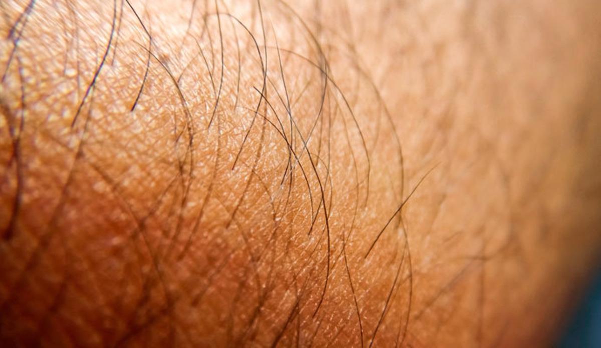 Por qué las pestañas se caen cuando crecen y otras curiosidades sobre el pelo